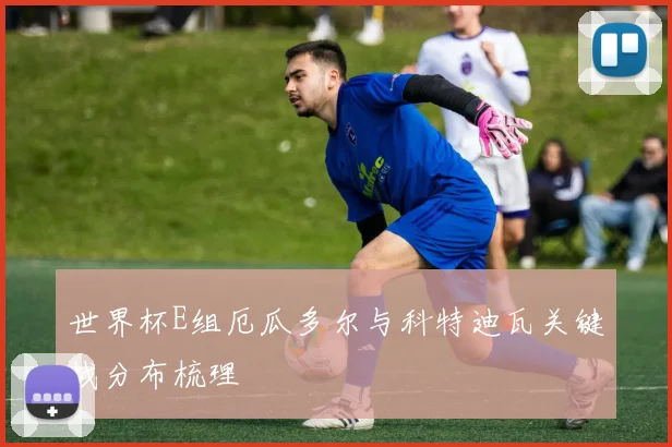 世界杯E组厄瓜多尔与科特迪瓦关键战分布梳理