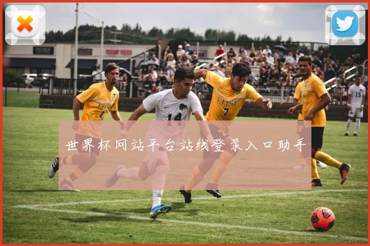 世界杯网站平台站线登录入口助手