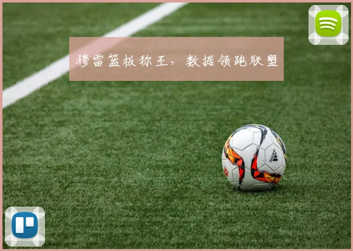 穆雷篮板称王，数据领跑联盟