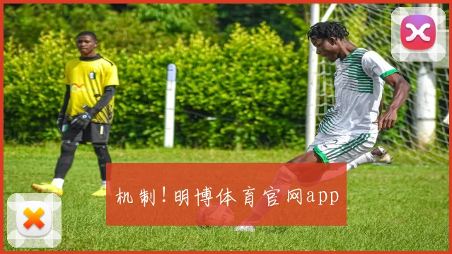 机制!明博体育官网app