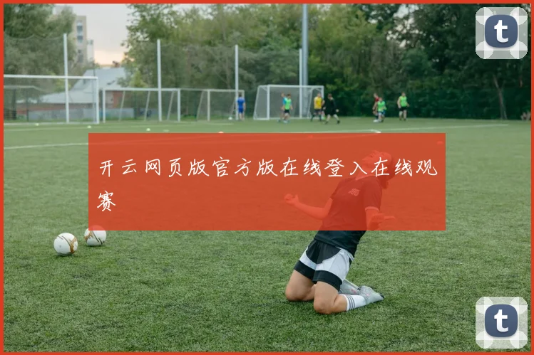 开云网页版官方版在线登入在线观赛