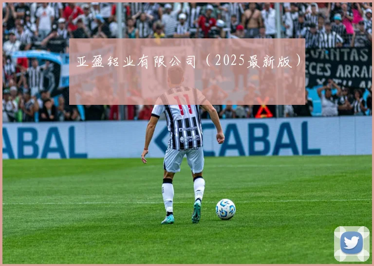 亚盈铝业有限公司（2025最新版）