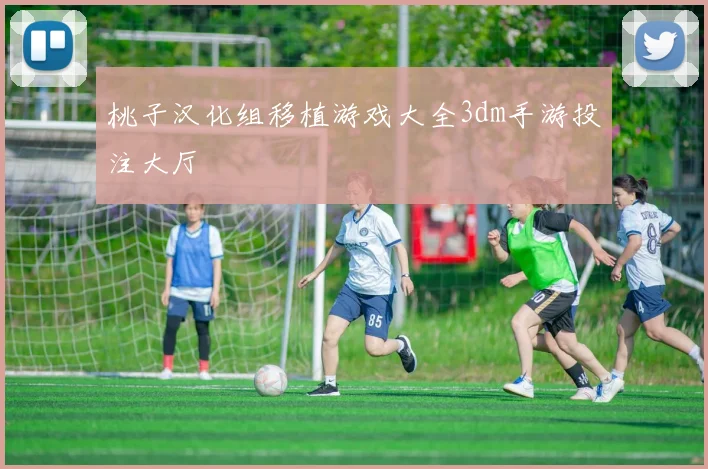 桃子汉化组移植游戏大全3dm手游投注大厅