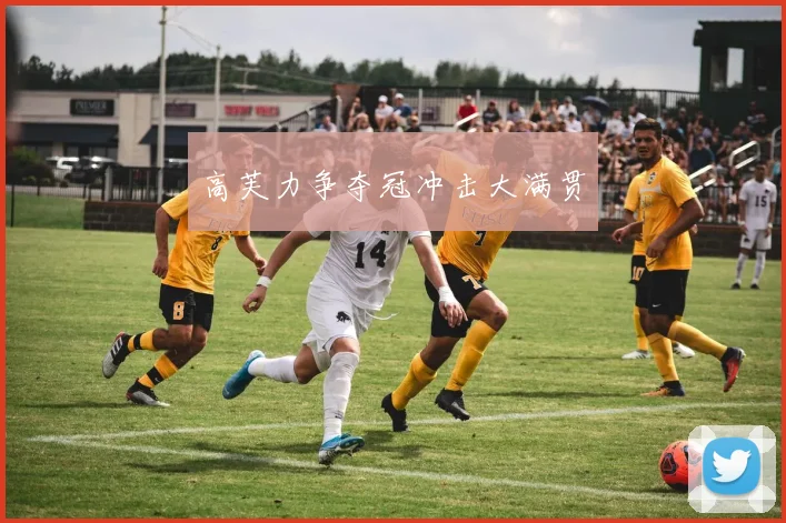 高芙力争夺冠冲击大满贯