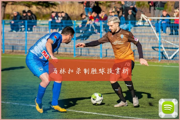 马林扣杀制胜球技赏析