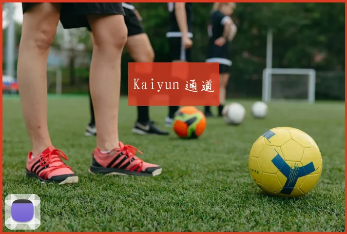 Kaiyun 通道