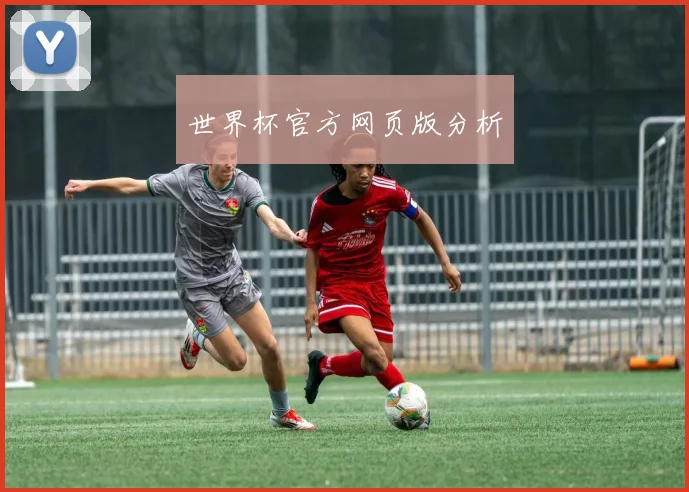 世界杯官方网页版分析