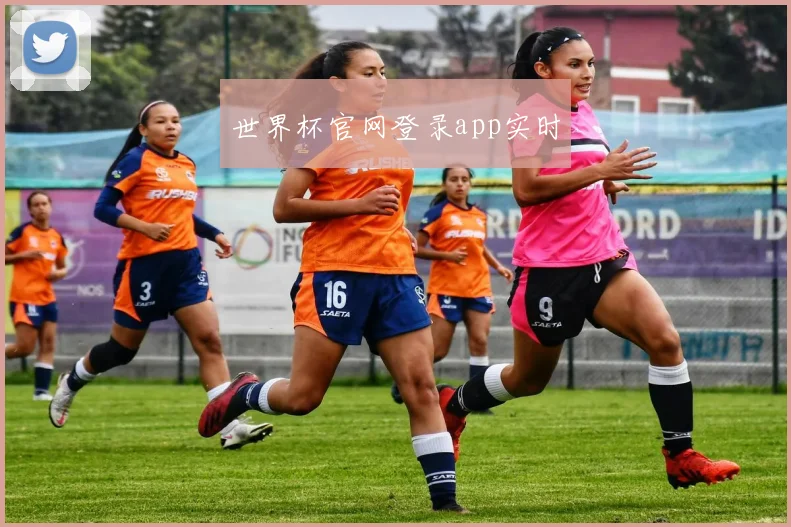 世界杯官网登录app实时