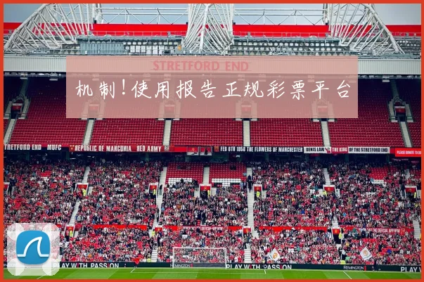 机制!使用报告正规彩票平台