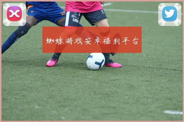 蜘蛛游戏安卓福利平台