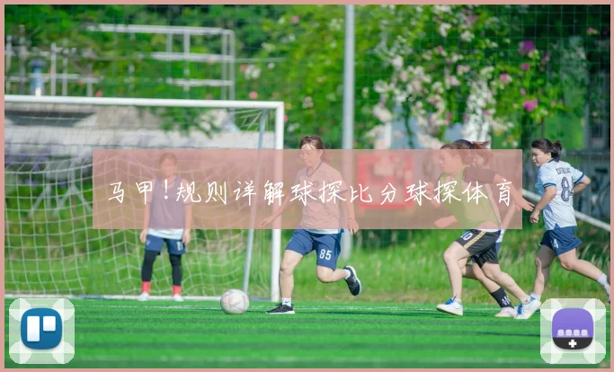 马甲!规则详解球探比分球探体育