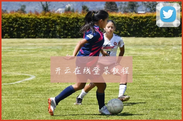 开云在线登录教程
