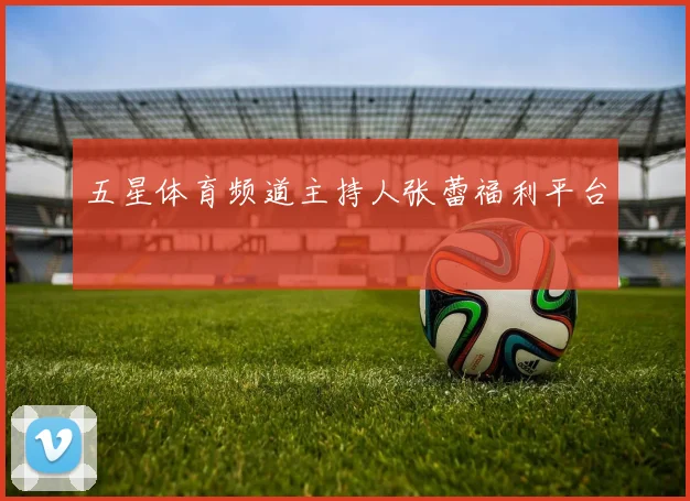 五星体育频道主持人张蕾福利平台