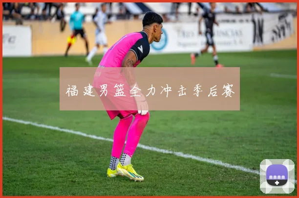 福建男篮全力冲击季后赛