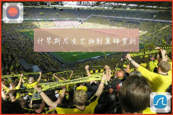 什琴斯尼凌空抽射集锦赏析