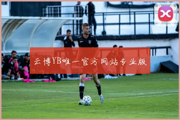 云博YB唯一官方网站专业版