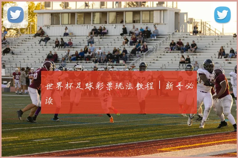 世界杯足球彩票玩法教程｜新手必读