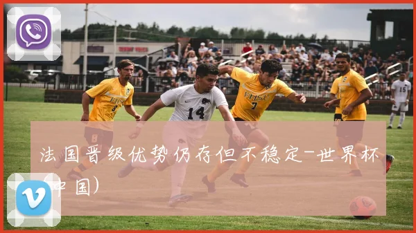 法国晋级优势仍存但不稳定-世界杯(中国)