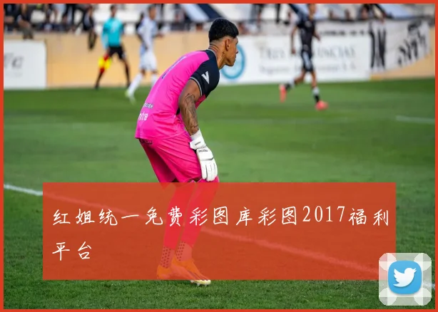 红姐统一免费彩图库彩图2017福利平台