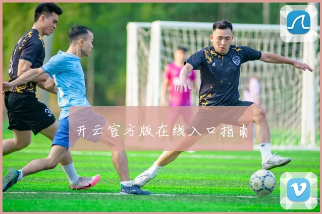 开云官方版在线入口指南