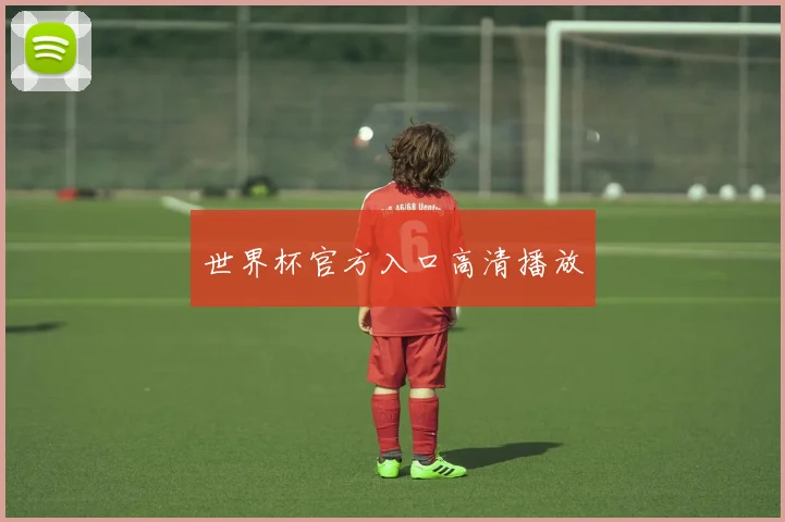 世界杯官方入口高清播放