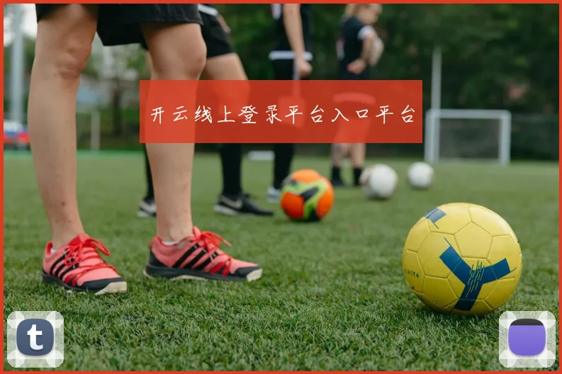 开云线上登录平台入口平台