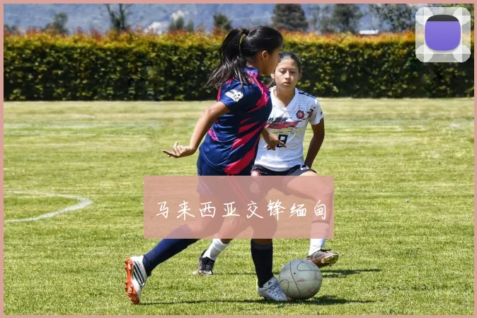 马来西亚交锋缅甸