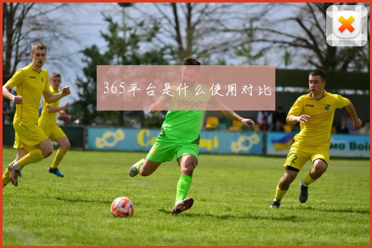 365平台是什么使用对比