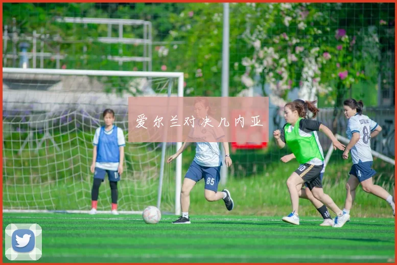 爱尔兰对决几内亚