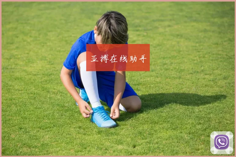 亚搏在线助手