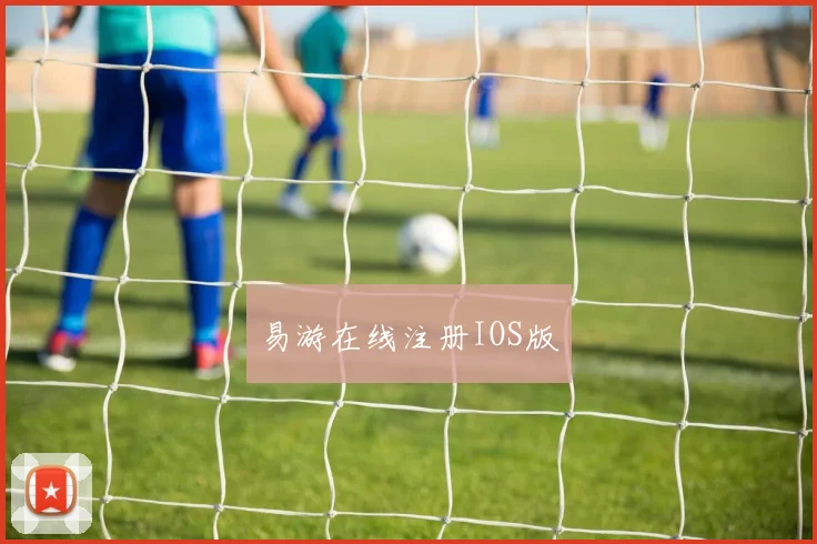 易游在线注册IOS版