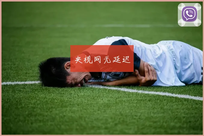 央视网无延迟