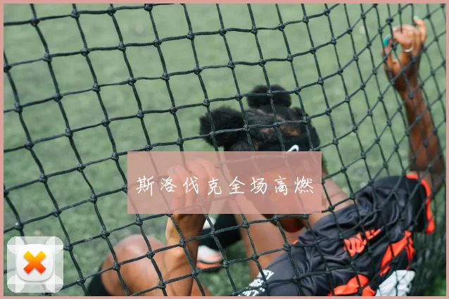 斯洛伐克全场高燃