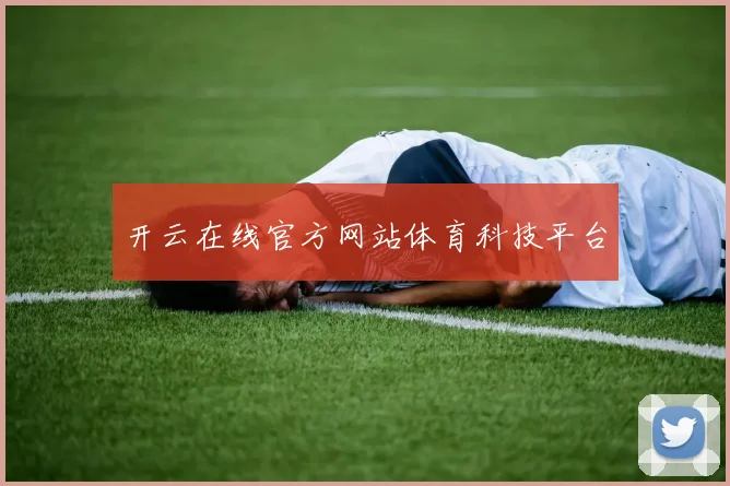 开云在线官方网站体育科技平台