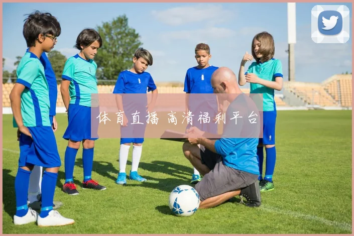 体育直播 高清福利平台