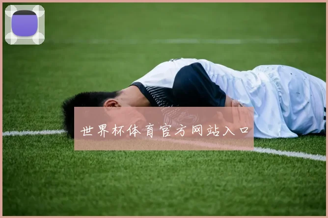 世界杯体育官方网站入口