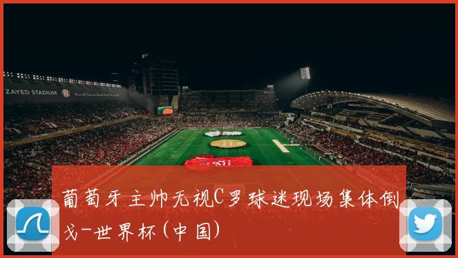 葡萄牙主帅无视C罗球迷现场集体倒戈-世界杯(中国)
