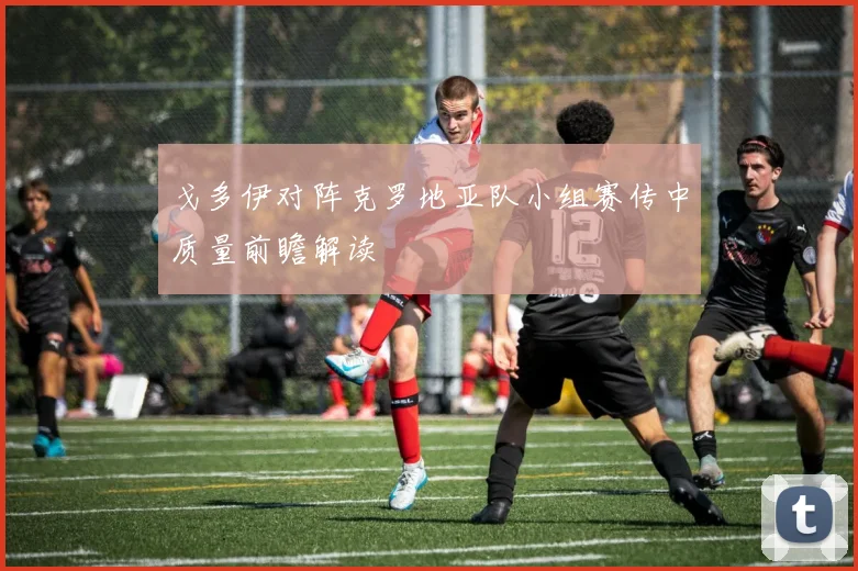戈多伊对阵克罗地亚队小组赛传中质量前瞻解读