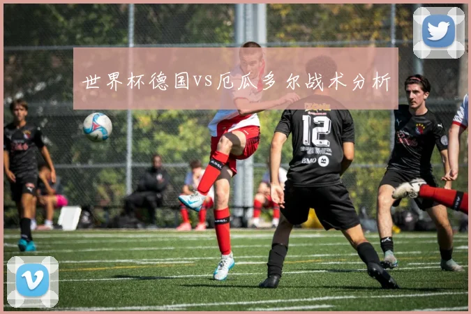世界杯德国vs厄瓜多尔战术分析