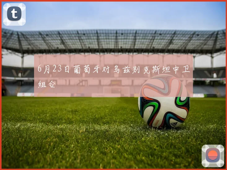 6月23日葡萄牙对乌兹别克斯坦中卫组合