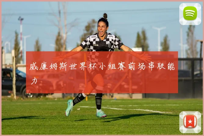 威廉姆斯世界杯小组赛前场串联能力