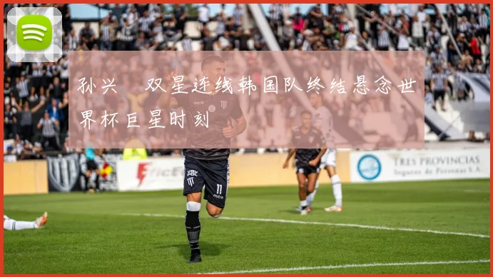 孙兴慜双星连线韩国队终结悬念世界杯巨星时刻