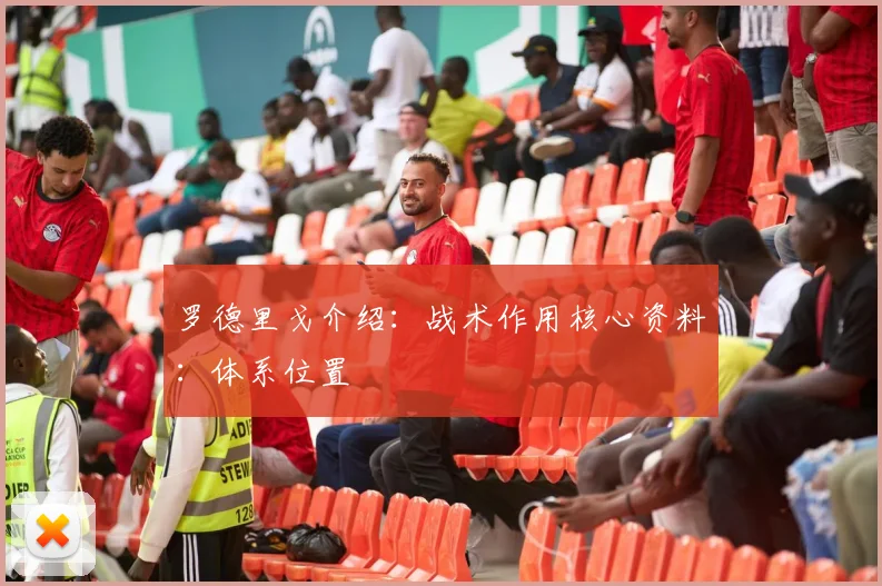 罗德里戈介绍：战术作用核心资料：体系位置